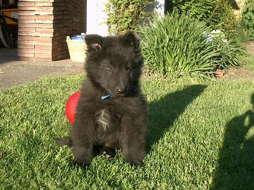 Грюнендаль фото 12