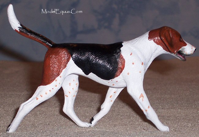 Английский фоксхаунд фото 6