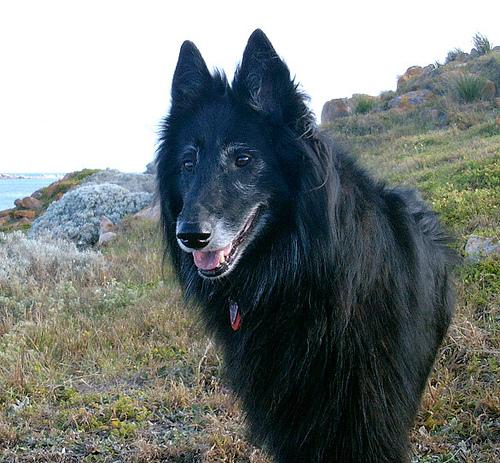 Грюнендаль фото 1