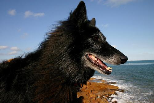 Грюнендаль фото 11