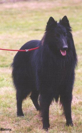 Грюнендаль фото 6