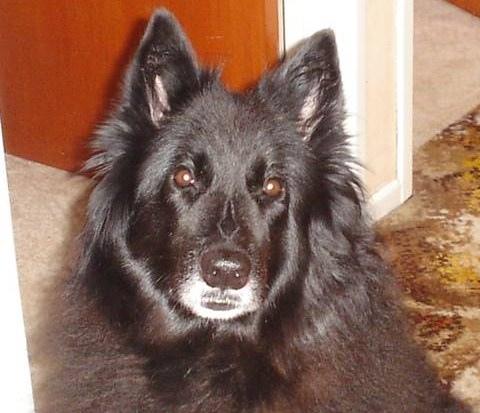 Грюнендаль фото 5