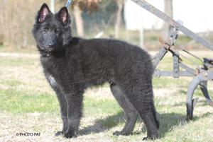 Грюнендаль фото 8